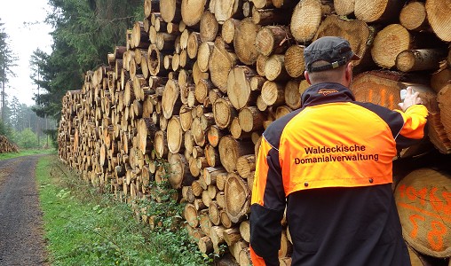 Foto: Arbeit im Forst (Bild: Marc Kilian)